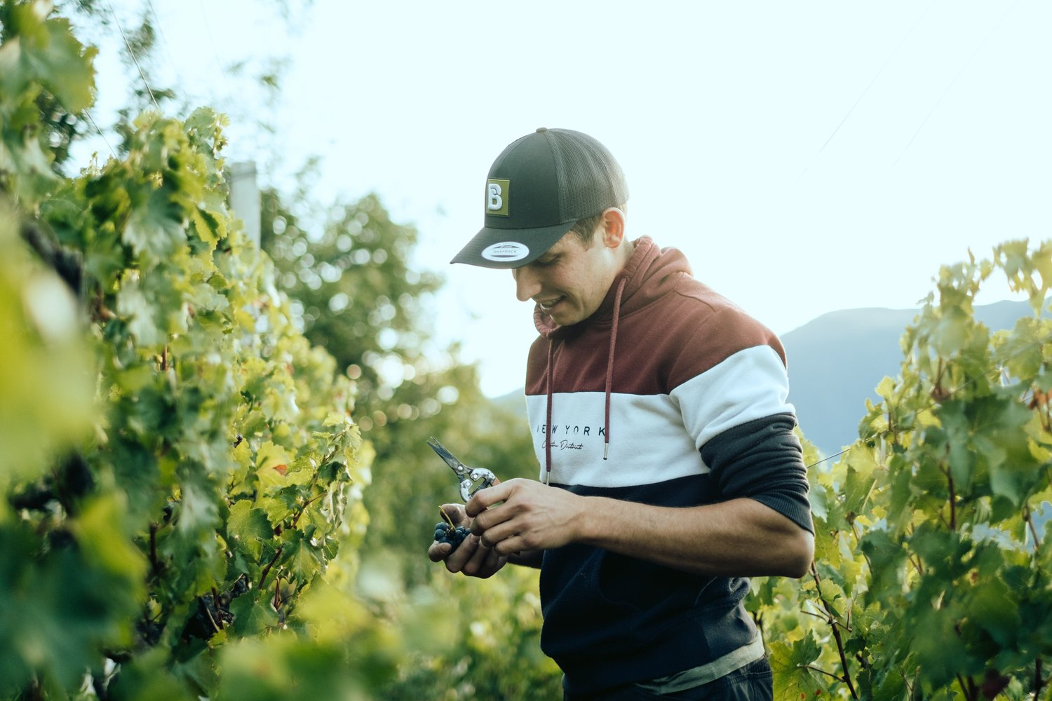 Tenuta Daniel Sigmund