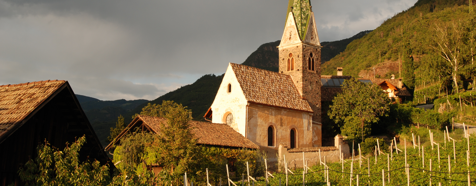 Azienda Vinicola Messnerhof