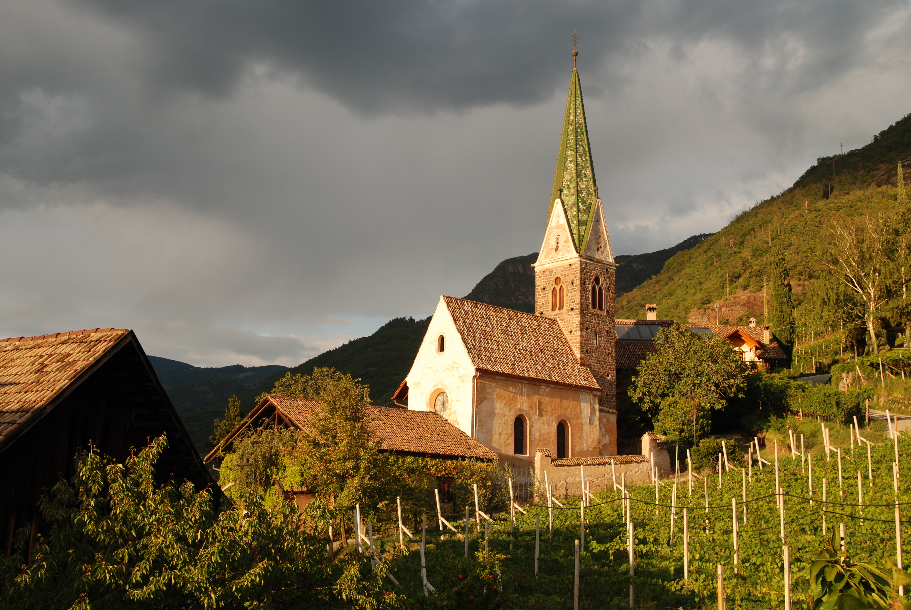 Azienda Vinicola Messnerhof
