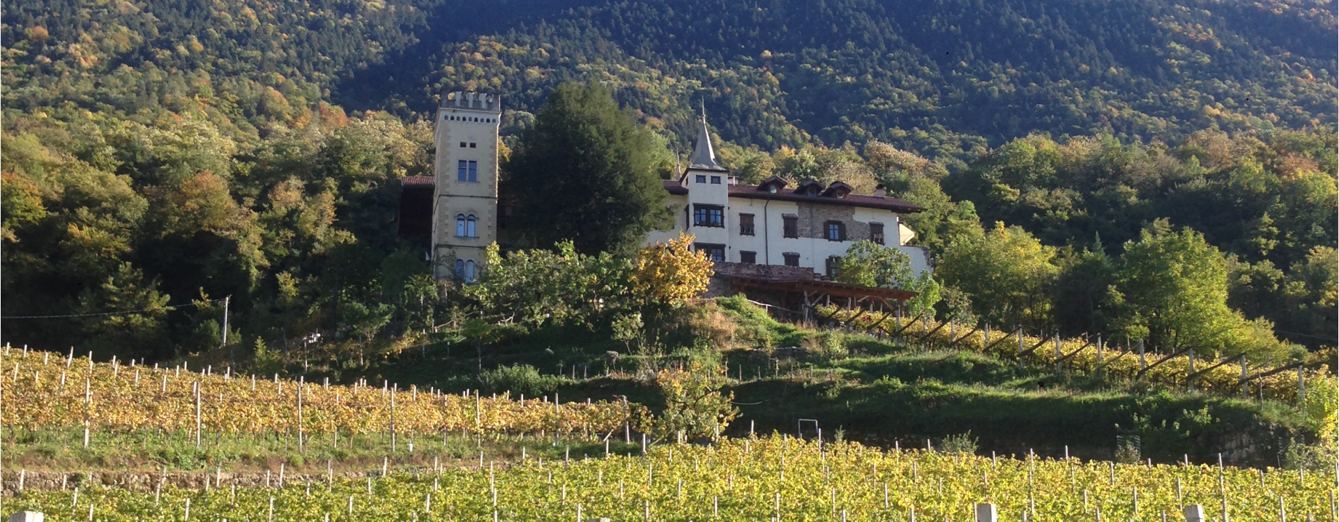 Tenuta Ansitz Dornach