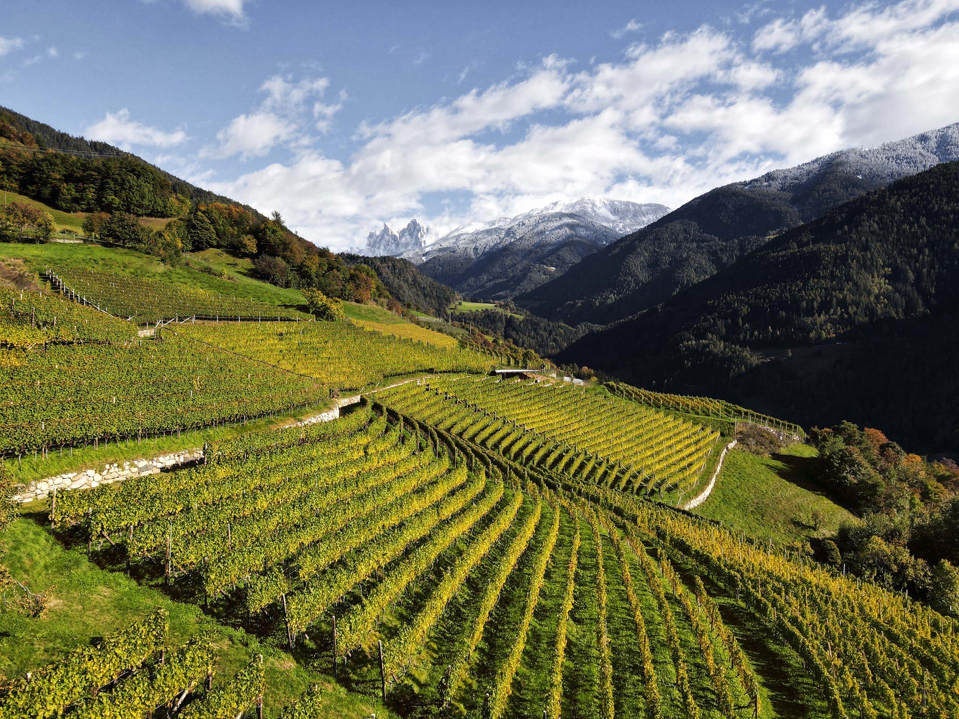 Cantina Valle Isarco