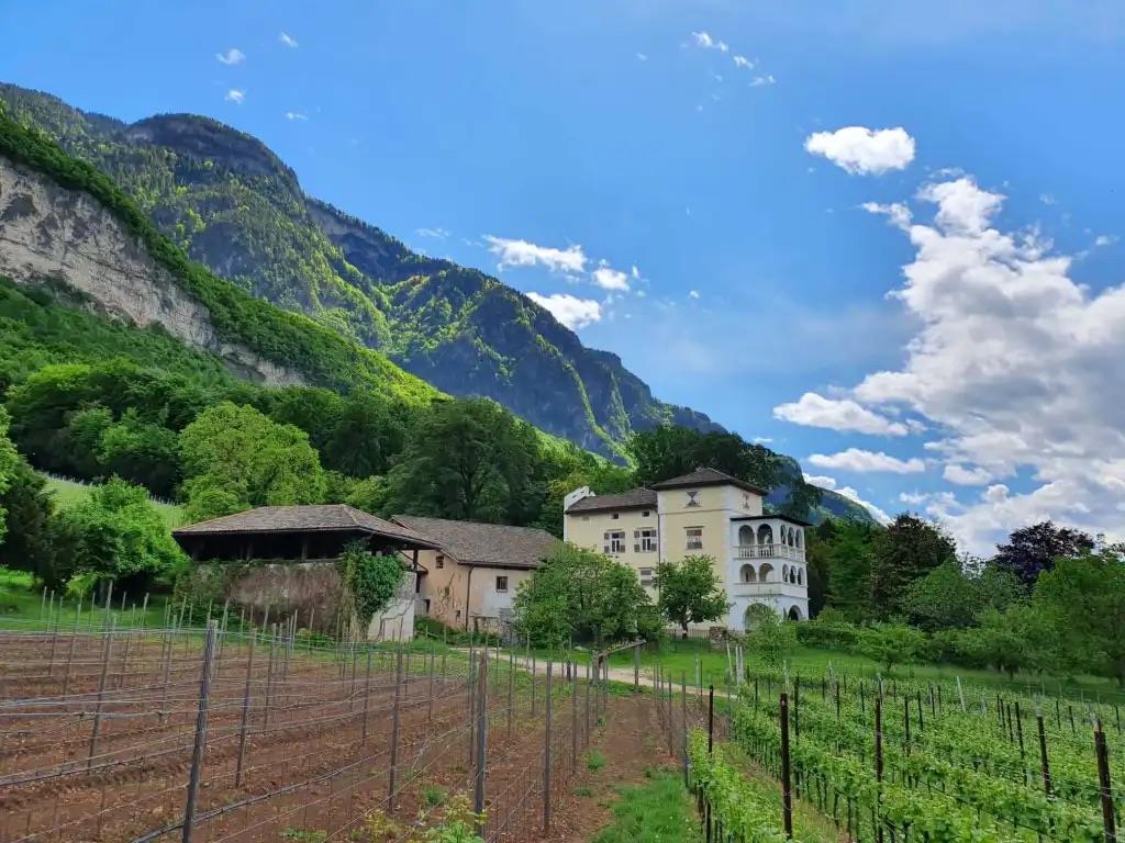 Weingut Sebastian Praxmarer