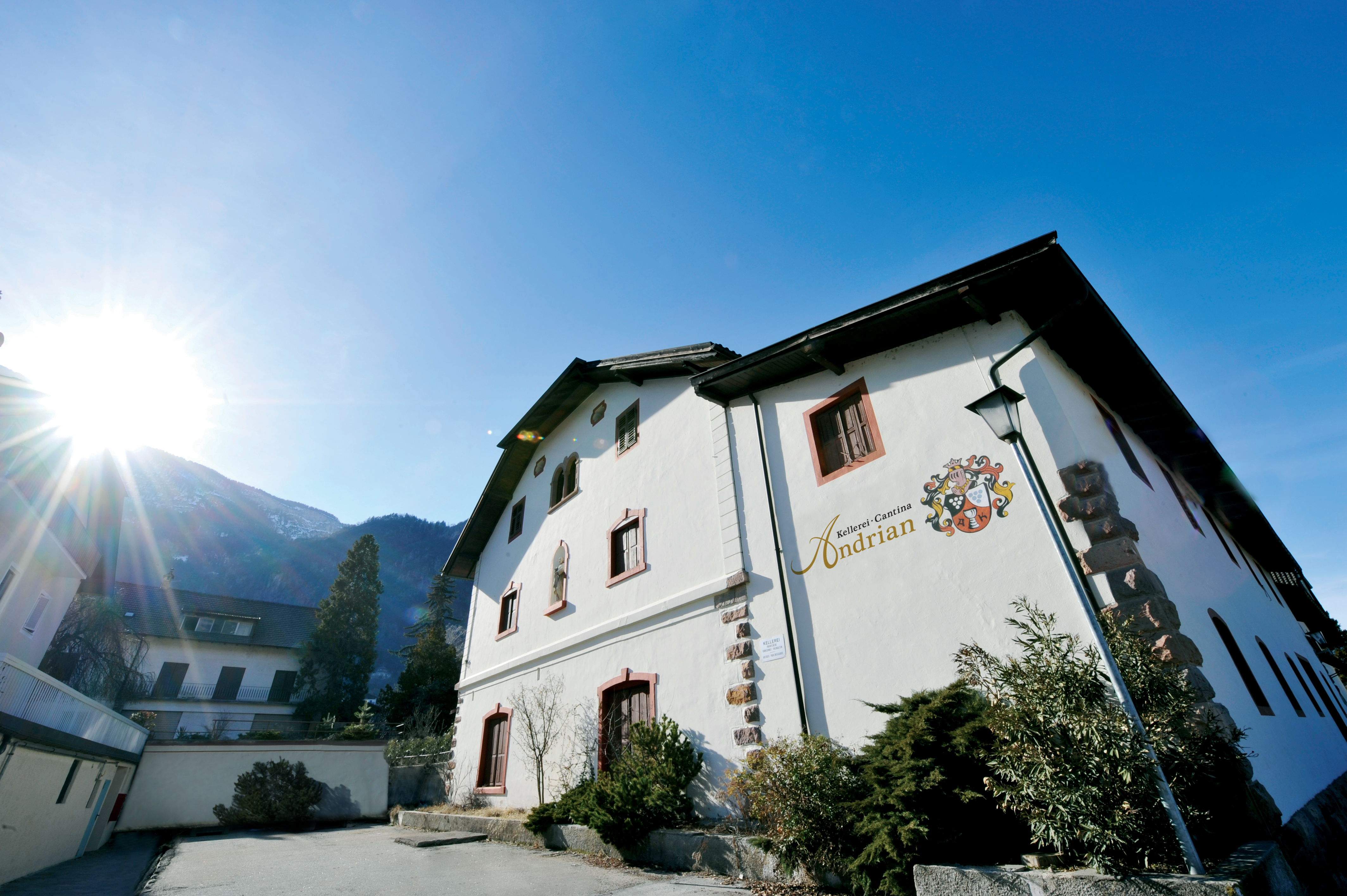 Cantina Andriano