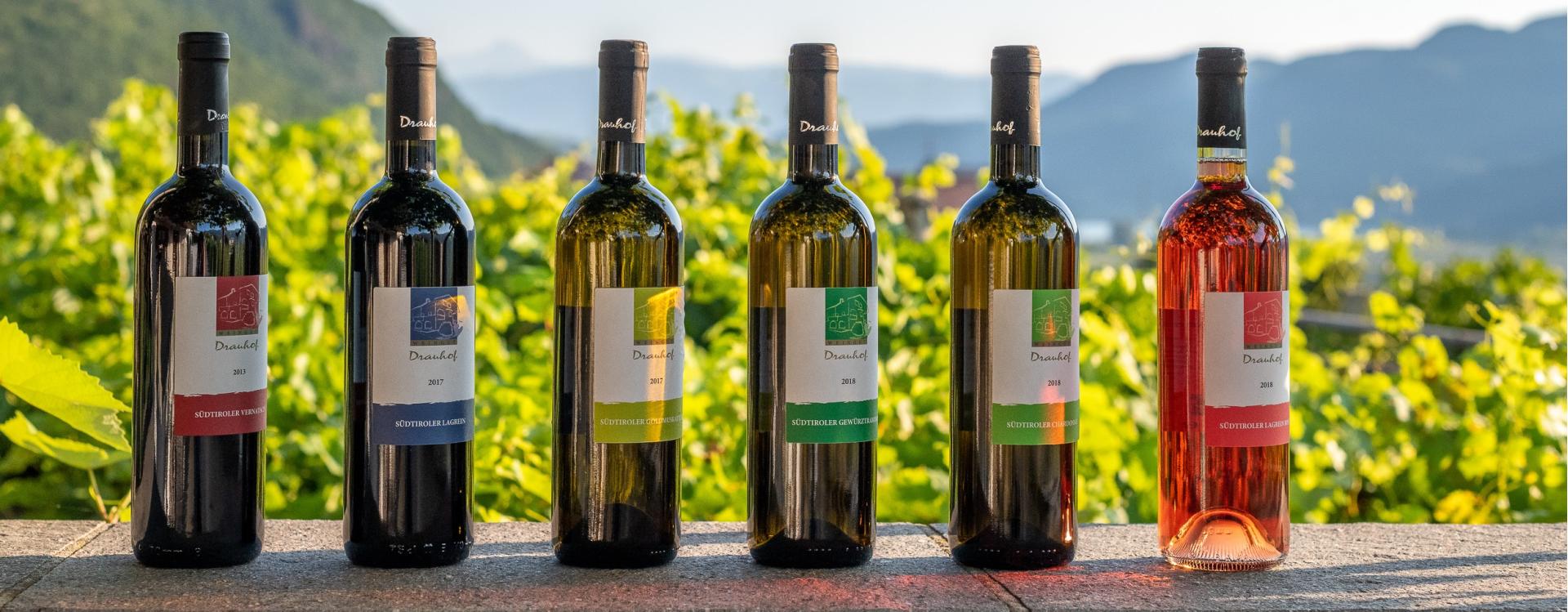 Rellich Manfred - Drauhof