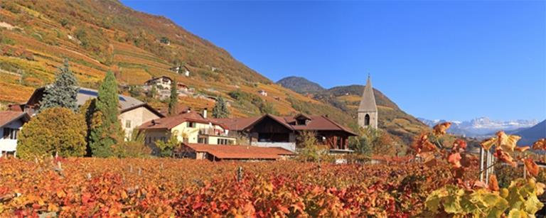 Geier Simon Plonerhof